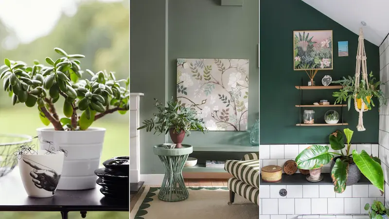 add indoor plants for a fresh modern touch